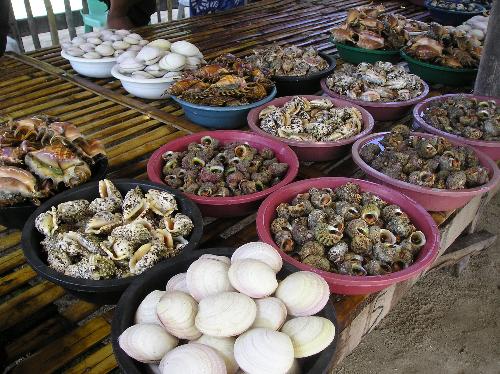 seafoods - fresh and healthy food