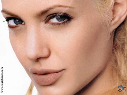 angelina jolie - this 1 is for you enjoy