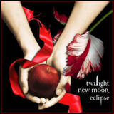 Twilight New Moon - A photo of the new and upcoming sequel of Twilight, New Moon.