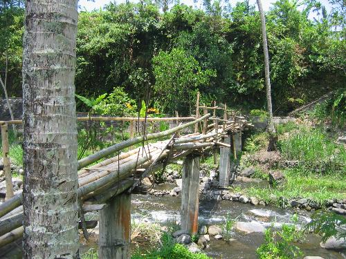 bali - natures walk