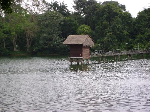 lake - lovely lake in singapore