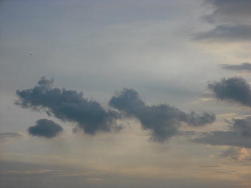 Shapes in Clouds - Does it look like a dog chasing a cat or 2 dogs racing?