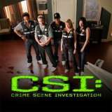 csi - favorite tv series