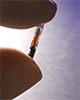Verichip - click the pic for more information! - This chip is being marketed as a way to help people in emergencies, but there's something more sinister behind it all.  Go to www.verichipcorp.com to see what they're saying, then watch the movie Zeitgeist to see what they're really up to.  Even if you find parts of the movie offensive or unbelieveable, watch it to the end.  The movie can be found at www.zeitgeistmovie.com