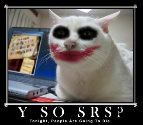 JOKER's cat - jokers cat,with the same makeup