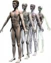 the real human body - who is the real human - body? any answer to my question?...please...