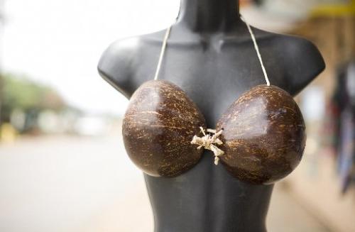 bra - Bra is an article of clothing that covers, supports, and elevates the Breasts.