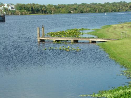 Nature pic - This is a nature picture taken at the Franklin Locks.