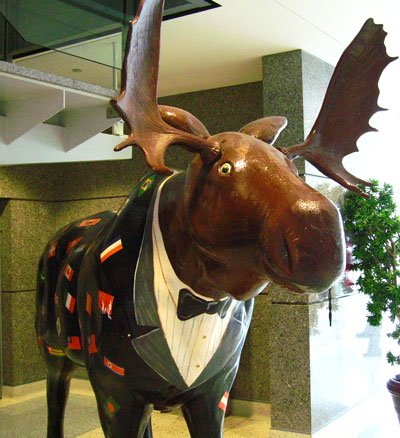 Canuck Moose - Canuck Moose has his eye on you. He's big, and he's friendly too.