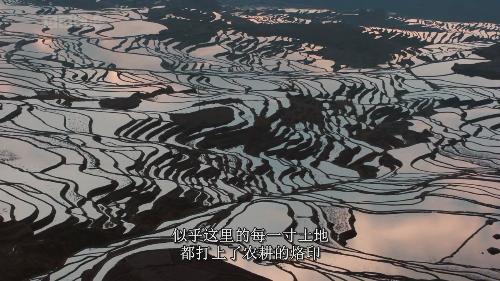beauty China - This picure is from the documentaries of Wild China filmed by BBC and CCTV. In the documentaries, it shows beautiful landscapes and rare animals in China.