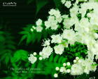 beautiful - Have a nice day.