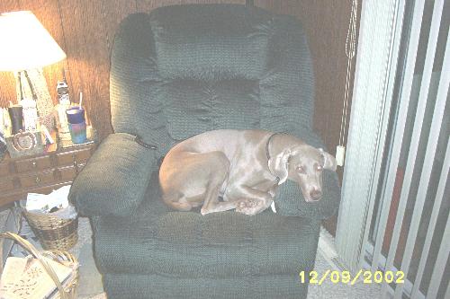 gretcheninchair - gretcheninchair