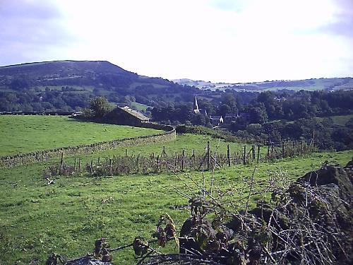 from my window - Life and nature revolve here you see the view from my home this winter morn. It is my sanctury, my beautiful place blessed be