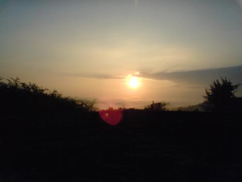 Sunrise  - morning sunrise