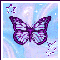 butterfly avatar - glittering butterfly avatar