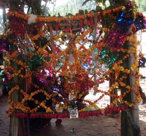 worshipping goddess - it is one of the photograph taken during the worshipping of goddess called as thanithan situated at the top of the hill in tanahun district of Nepal.