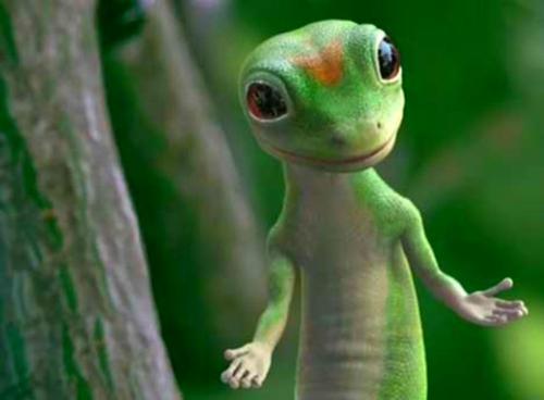 Your Greeness - The Hebee Gebee's