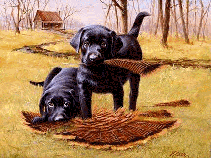 Black Labs - Mans Best Friend