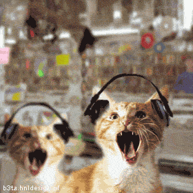cats1 - cats
