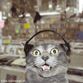 cats2 - scary cat