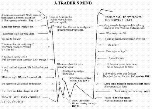 traders mind - see how traders mind works