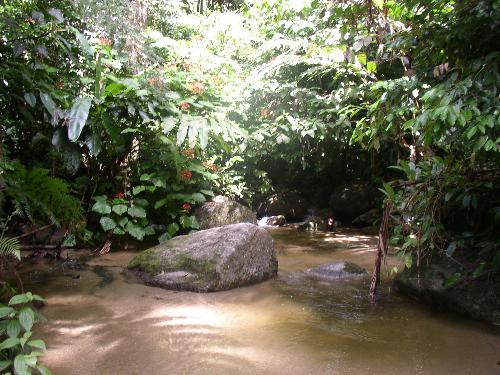 romantic view in the jungle - this picture is taken by my beloved husband during he doing her survey work in the jungle. Look very nice huh.. i love it
