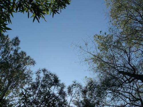 scenery - serenity...
