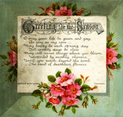 a christmas card with flowers on it - a christmas card with flowers on it