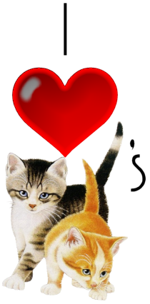 I love cats - I love cats. Writing & a cat picture & a heart.