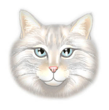 Cute Cat - waiting to be petted