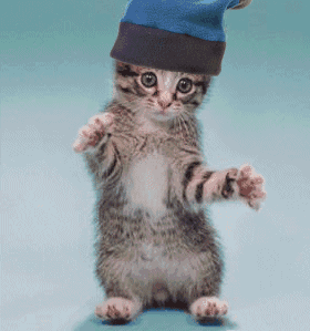 Dancing Kitty - Now where is the Music?