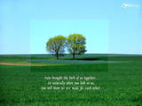very very nice - niceeeeeeeeeeeeeeeeeeeeeeeeeeeeee