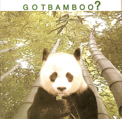Panda Spankers Unite! - Got bamboo? The panda is ready and waiting. Let the insanity free and embrace the quirky nature that lies dormant in all of us!