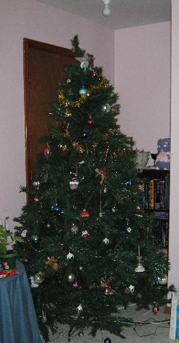 Christmas tree - My tree i put up Saturday night
