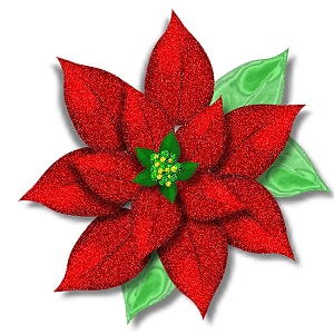 poinsettia - A poinsettia for you AmbiePam