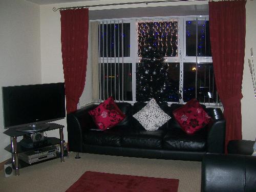In the light christmas tree - My black optic fibre small tree