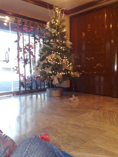 shopping - xmas decor