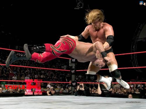 wwe - the deadly pedigree delivered