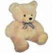 Teddy bear - picture of a teddybear