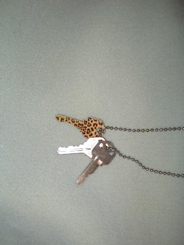 Keys - Picture of house keys