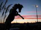 Mile High Thunder! - Unbeleivable view of the sunset fading behind a statue at the Mile High stadium.