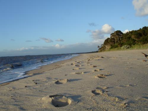 Beach at Grantville - Footprints on beach in sand