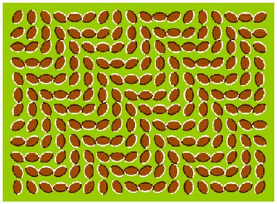 worlds best optical illussions - see this and see what u r