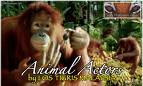 animal - its about animal...
