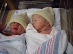 New borns - New born babies that are so precious.