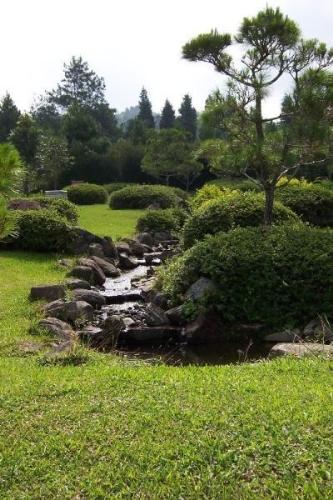 Nature - Nature is always refreshing our life