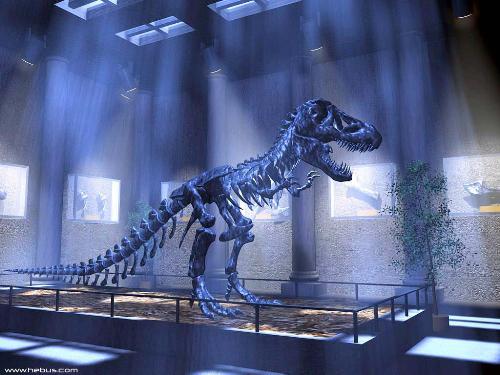 The Museum - I love seeing the dinosaur exhibits at the museum