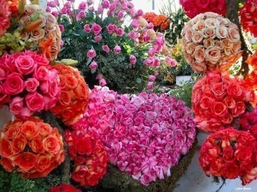 life - life is like flowers it withers and dies..