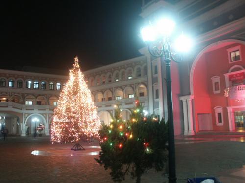 chrismas eve - some foreign teachers had not go home for last christmas day ,so they demonstrated a christmas tree at the Italy square.