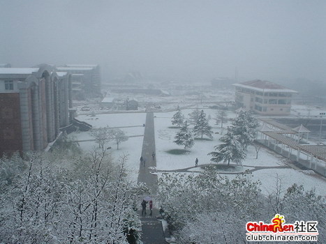 snow - winter ,the campus put up a cloth of snow